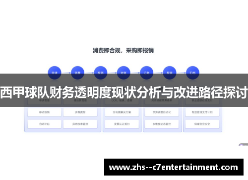 西甲球队财务透明度现状分析与改进路径探讨