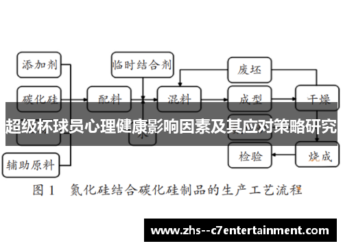 超级杯球员心理健康影响因素及其应对策略研究